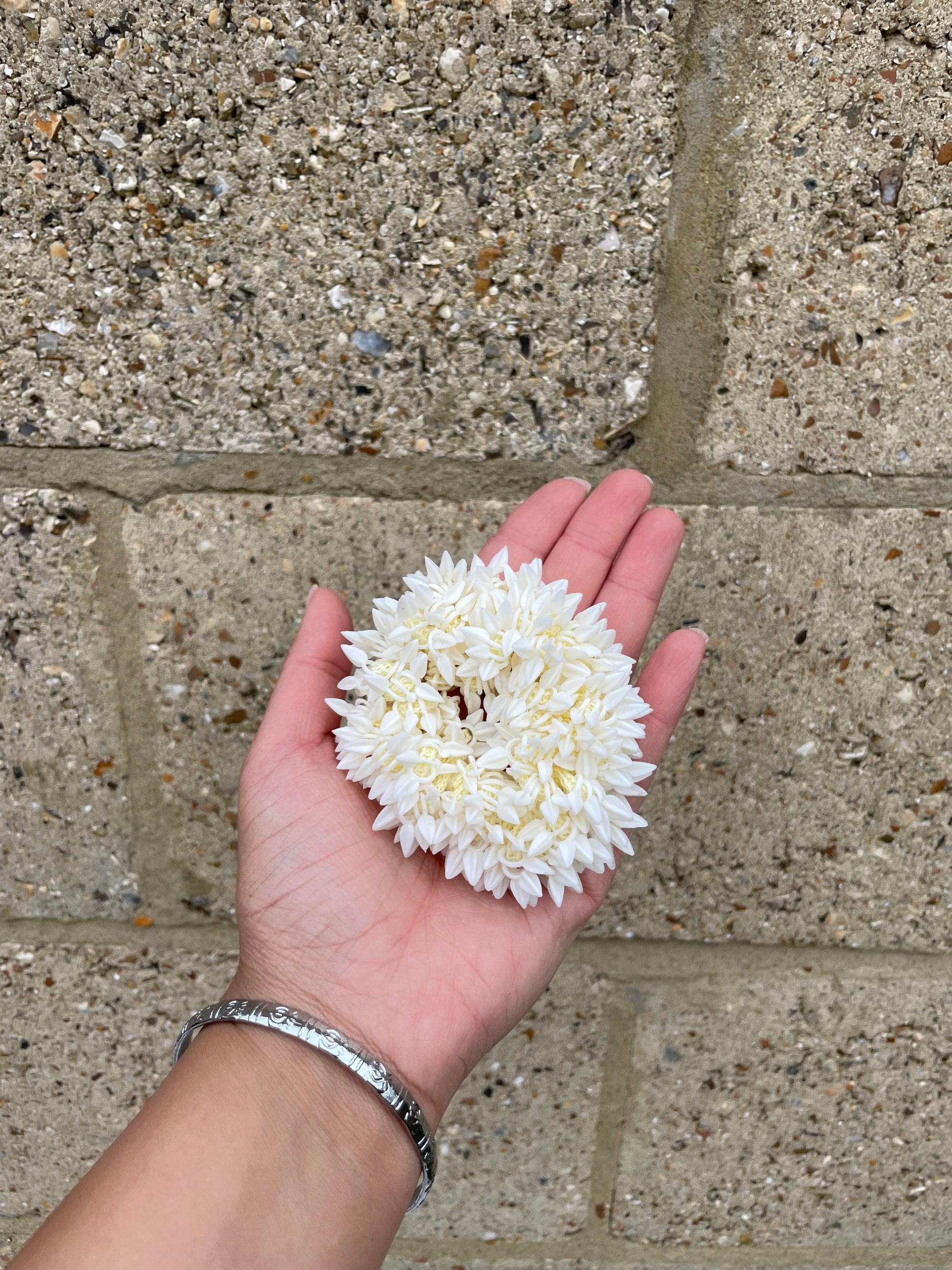 White Jasmine Scented Wedding Gajreh, haaldi ceremony, sangeet ceremony, indian hindu sikh wedding, punjabi, shaadi