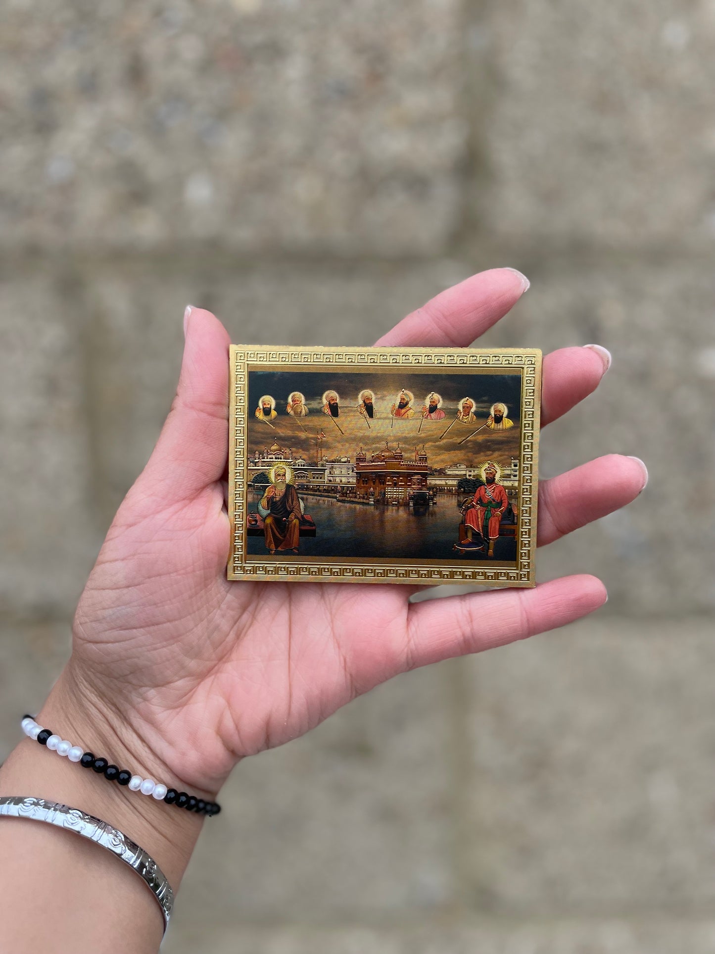 Sri Harmandir Sahib and 10 Gurus Fridge Magnet